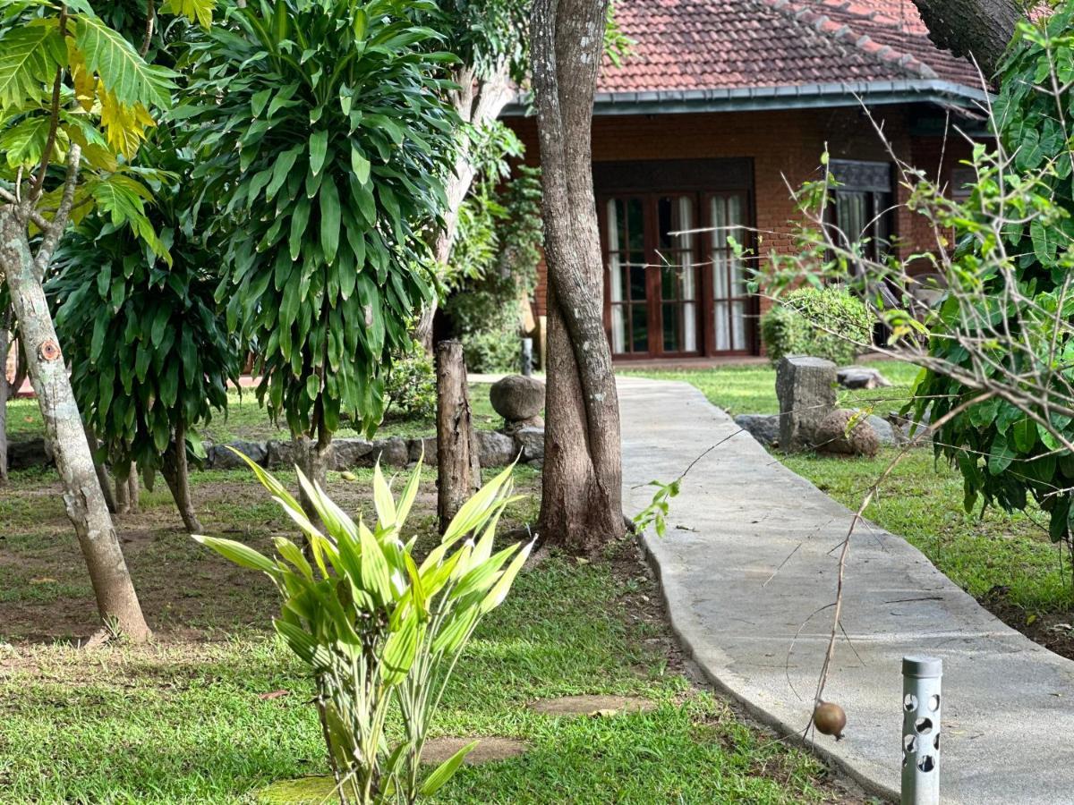 Sigiriya Cottage Εξωτερικό φωτογραφία