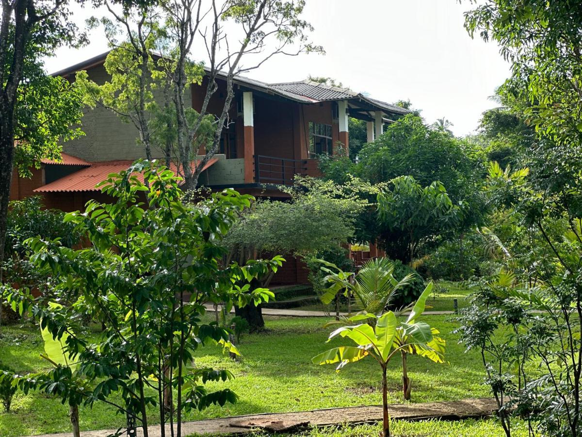 Sigiriya Cottage Εξωτερικό φωτογραφία