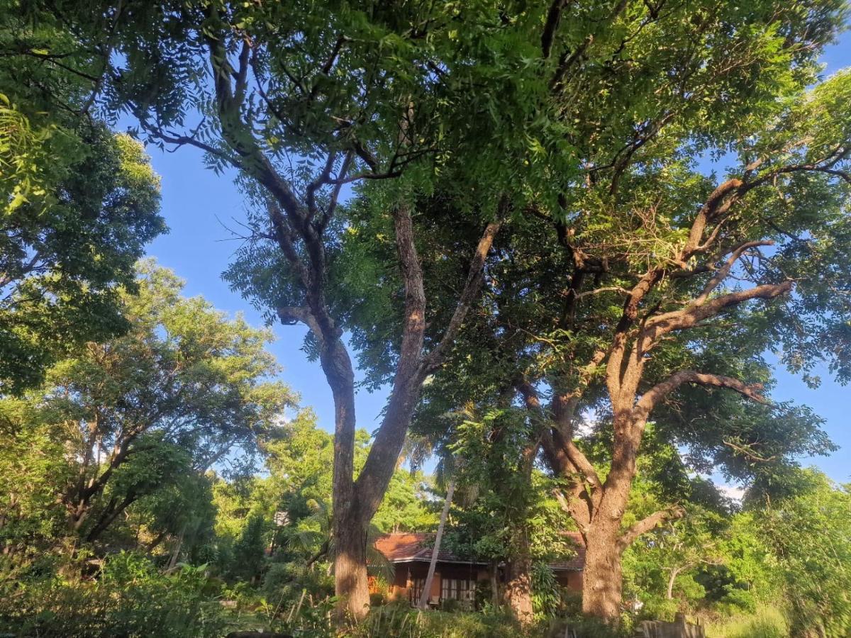 Sigiriya Cottage Εξωτερικό φωτογραφία