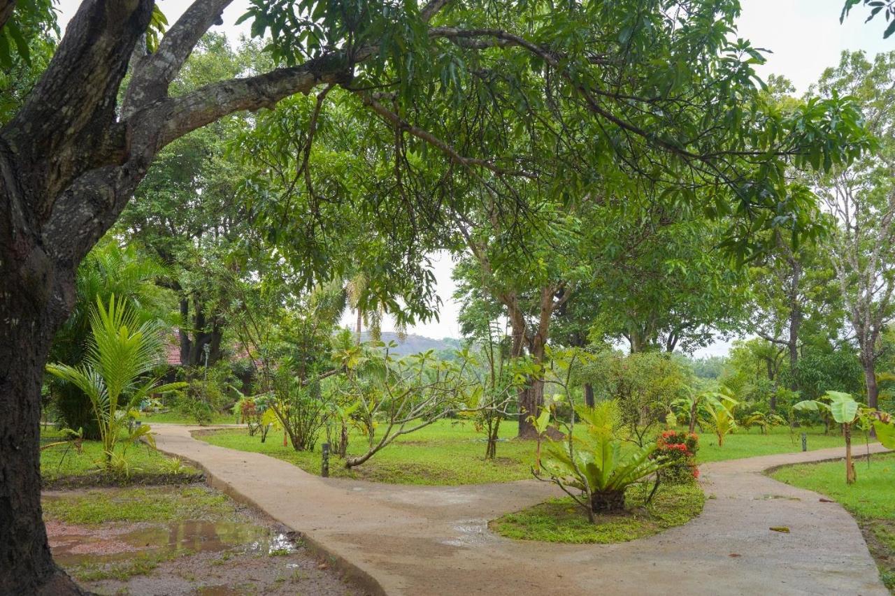 Sigiriya Cottage Εξωτερικό φωτογραφία