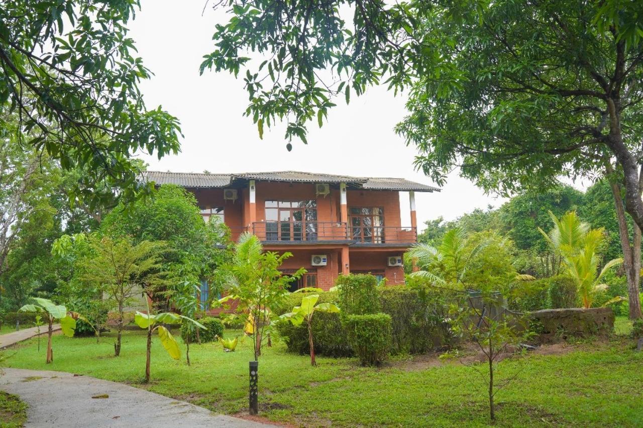 Sigiriya Cottage Εξωτερικό φωτογραφία