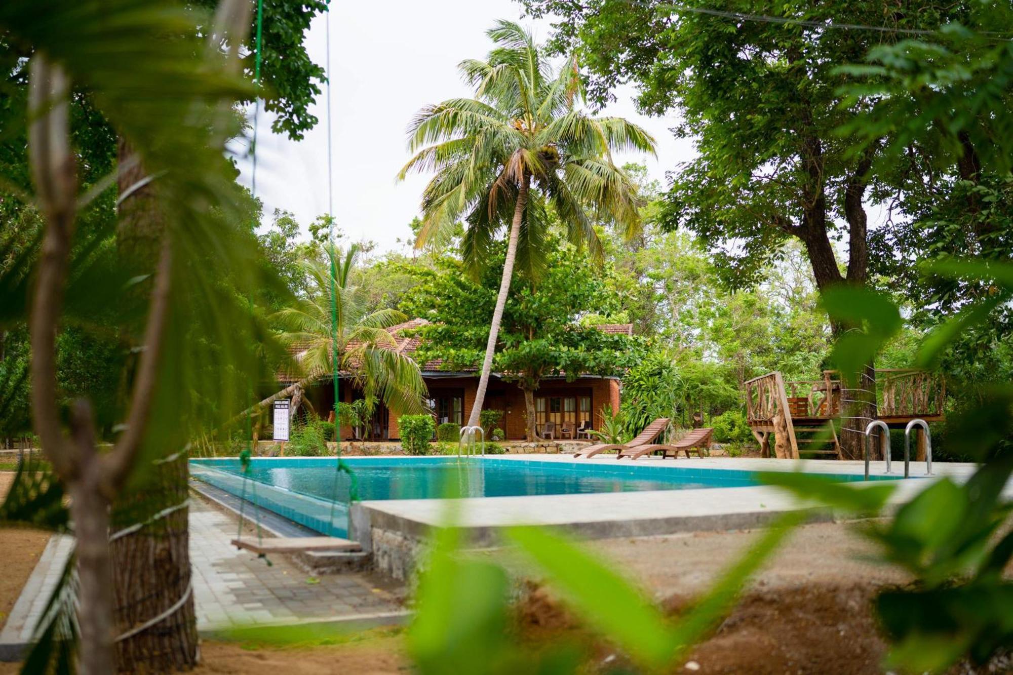 Sigiriya Cottage Εξωτερικό φωτογραφία