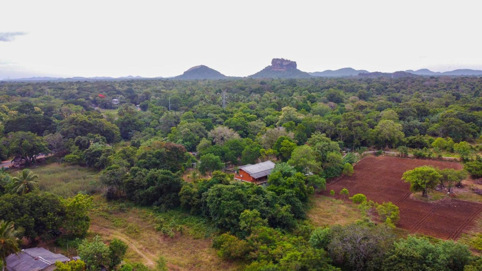 Sigiriya Cottage Εξωτερικό φωτογραφία
