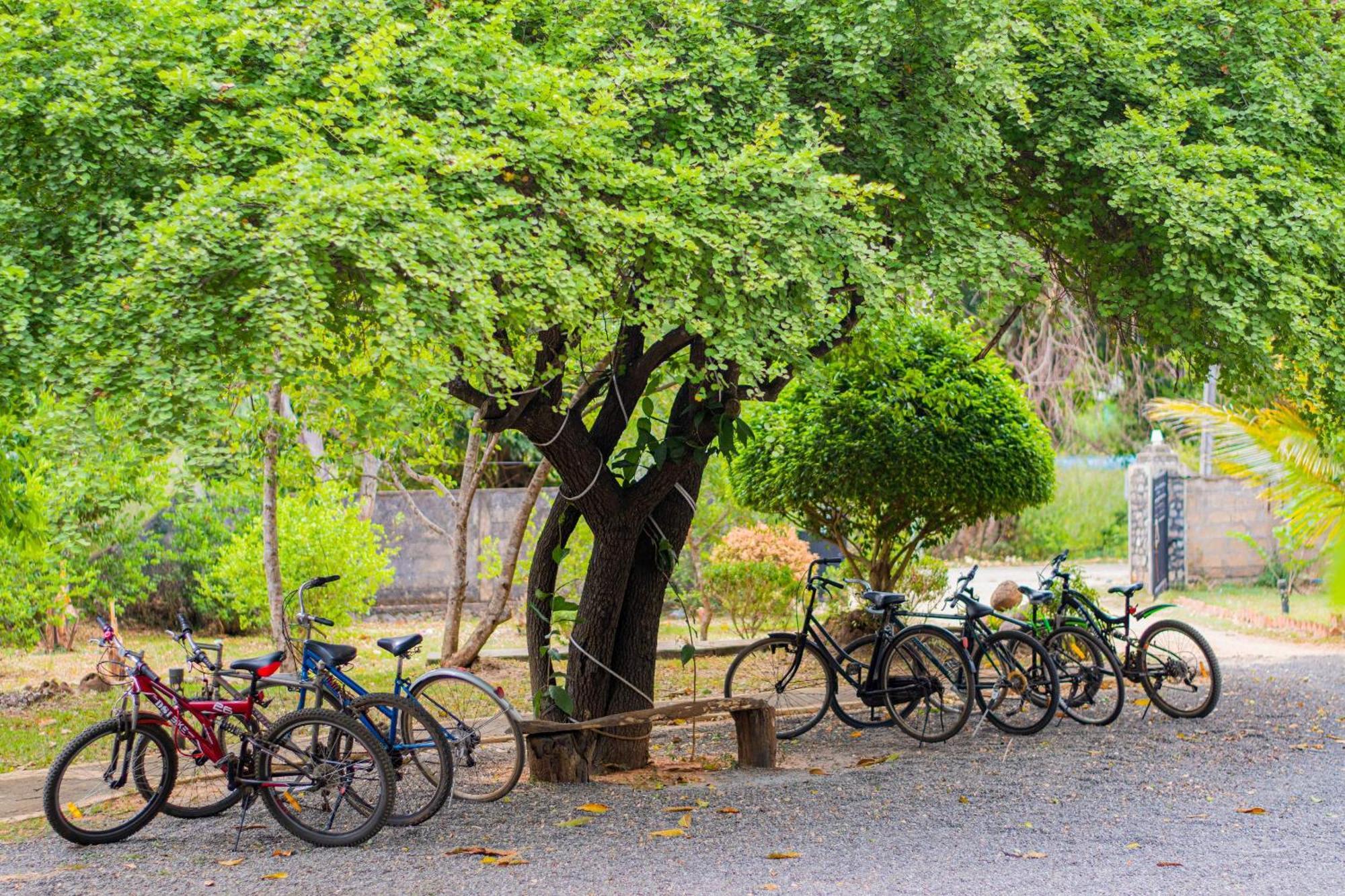 Sigiriya Cottage Εξωτερικό φωτογραφία